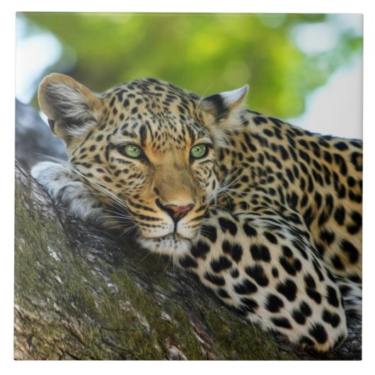 Leopard Ceramic Tile Tegeltje (Voorkant)