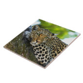 Leopard Ceramic Tile Tegeltje (Zijkant)