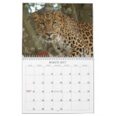 Leopard Cheetaro013, Leopard Cheetaro Kalender (Mar 2027)