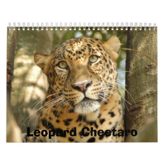Leopard Cheetaro013, Leopard Cheetaro Kalender
