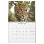 Leopard Cheetaro013, Leopard Cheetaro Kalender (Feb 2026)
