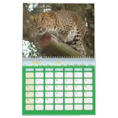Leopard Cheetaro013, Leopard Kalender (Mar 2027)
