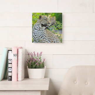 Leopard clock  vierkante klok
