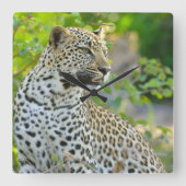 Leopard clock vierkante klok (Voorkant)