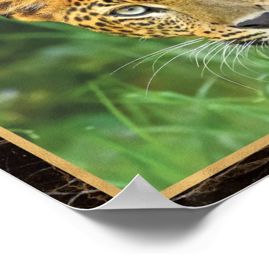 Leopard Closeup Photo Afbeelding Print Poster (Hoek)