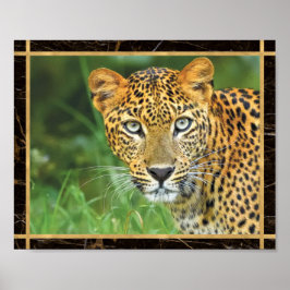 Leopard Closeup Photo Afbeelding Print Poster