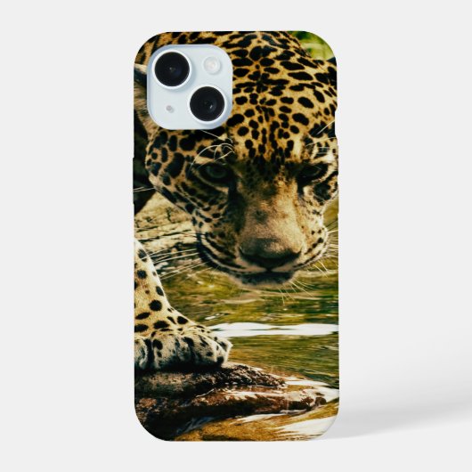 Leopard Crossing a Stream iPhone 15 Case (Achterkant)