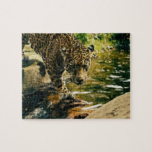 Leopard Crossing a Stream Legpuzzel (Horizontaal)