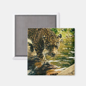 Leopard Crossing a Stream Photograph Magneet (Voorkant / Achterkant)