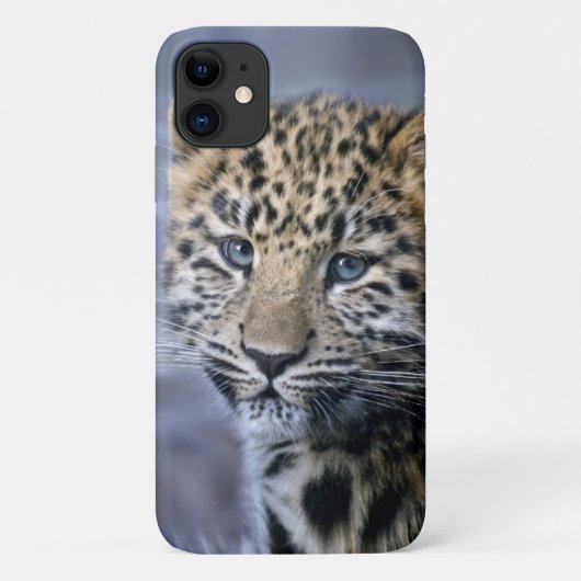 Leopard Cub iPhone 11 Hoesje (Achterkant)