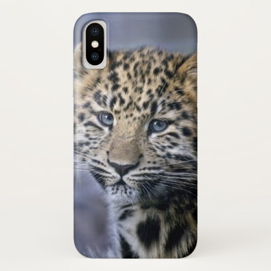 Leopard Cub iPhone X Hoesje (Achterkant)