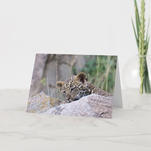 Leopard Cub Kaart (Voorkant)