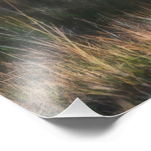 Leopard Cub Panthera Pardus Foto Afdruk (Hoek)