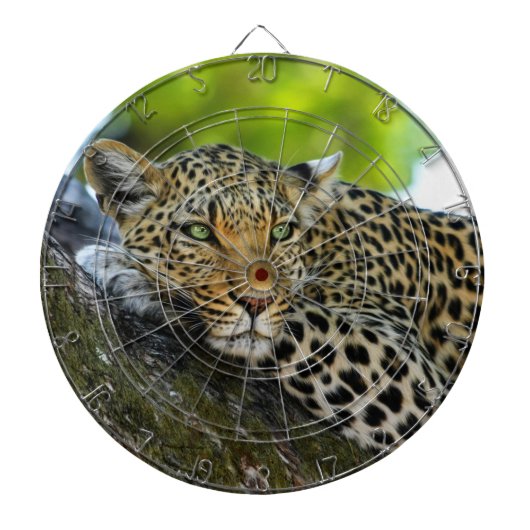 Leopard Dartboard Dartbord (Voorkant)