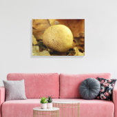 Leopard Earthball Fungus Canvas Print (Insitu (Woonkamer))