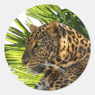LEOPARD EN PALMS RONDE STICKER