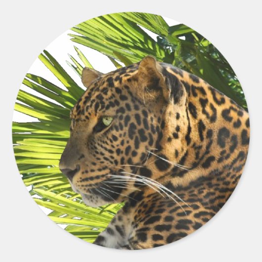LEOPARD EN PALMS RONDE STICKER (Voorkant)