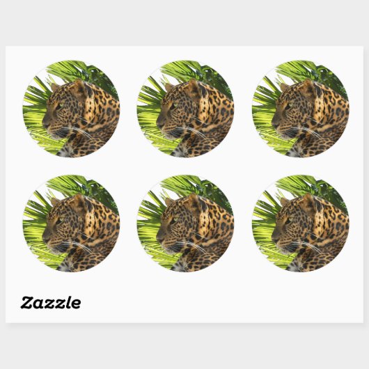 LEOPARD EN PALMS RONDE STICKER (Vel)