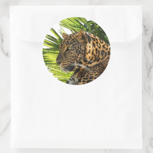 LEOPARD EN PALMS RONDE STICKER (Tas)