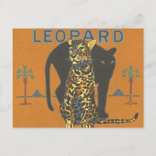 Leopard en Panther Briefkaart