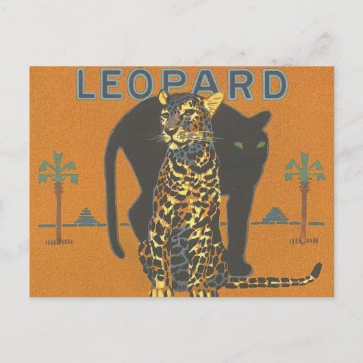 Leopard en Panther Briefkaart (Voorkant)