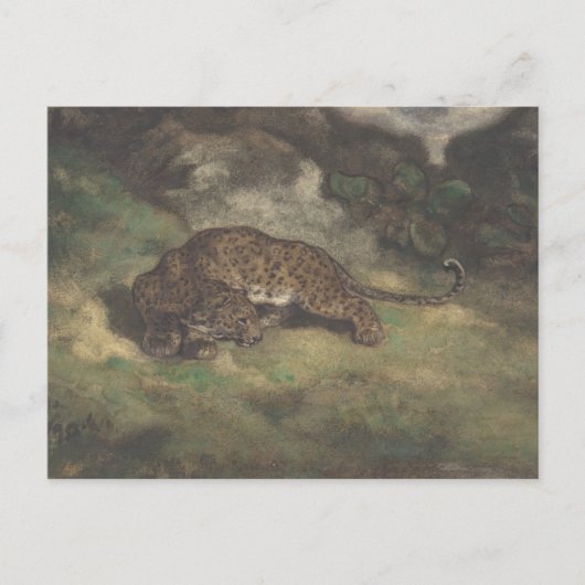 Leopard en Serpent Briefkaart (Voorkant)