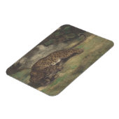 Leopard en Serpent Magneet (Linkerzijde)