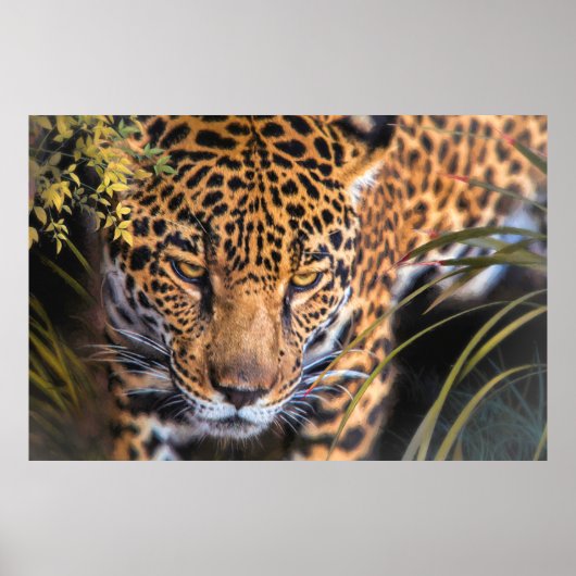 LEOPARD ENCOUNTER POSTER (Voorkant)