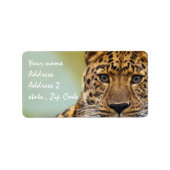 Leopard Etiket (Voorkant)