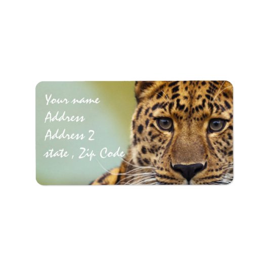 Leopard Etiket (Voorkant)