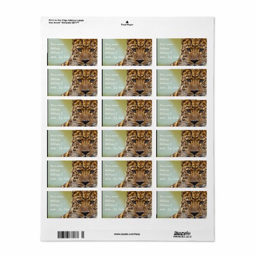 Leopard Etiket (Full Sheet)