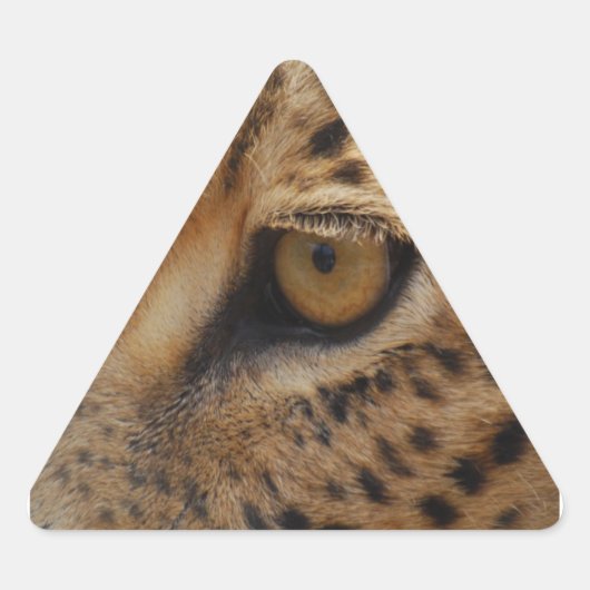 Leopard Eye Sticker (Voorkant)
