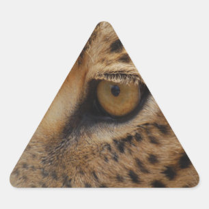 Leopard Eye Sticker