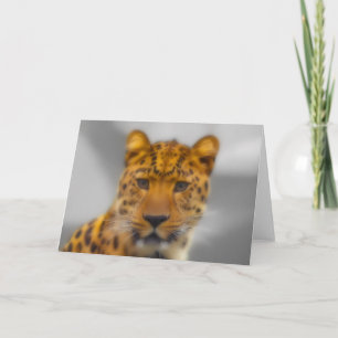 Leopard Face Kaart