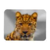 Leopard Face Magneet (Horizontaal)