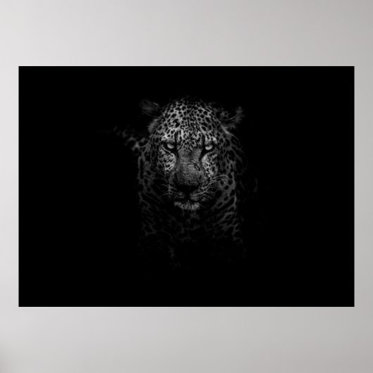 LEOPARD FACE POSTER (Voorkant)