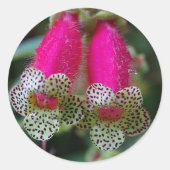 Leopard Flower Ronde Sticker (Voorkant)