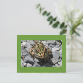 Leopard Frog Briefkaart (Staand voorkant)