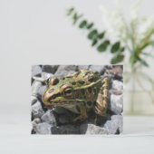Leopard Frog Post Card Briefkaart (Staand voorkant)