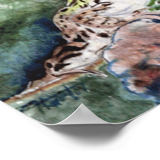 Leopard Frog Poster (Hoek)