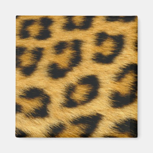 Leopard Fur Magnet (Voorkant)