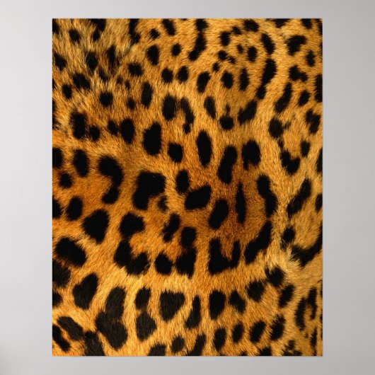 Leopard Fur Print (Voorkant)