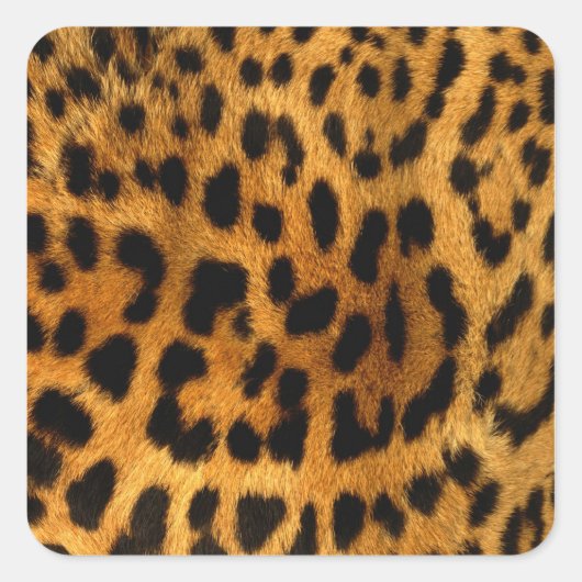 Leopard Fur Print Vierkante Sticker (Voorkant)