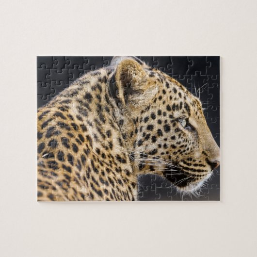 Leopard Game Puzzle Legpuzzel (Horizontaal)