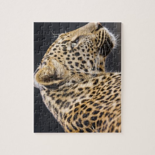 Leopard Game Puzzle Legpuzzel (Verticaal)