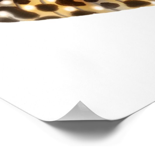 Leopard Gecko Art Print (Hoek)