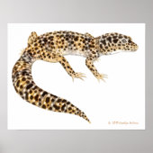 Leopard Gecko Art Print (Voorkant)