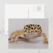 Leopard Gecko Briefkaart (Voorkant / Achterkant)