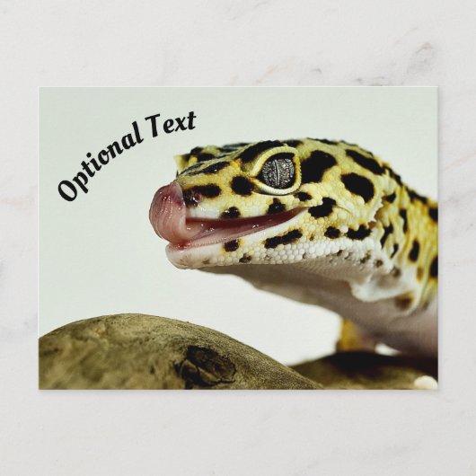 Leopard Gecko Briefkaart (Voorkant)