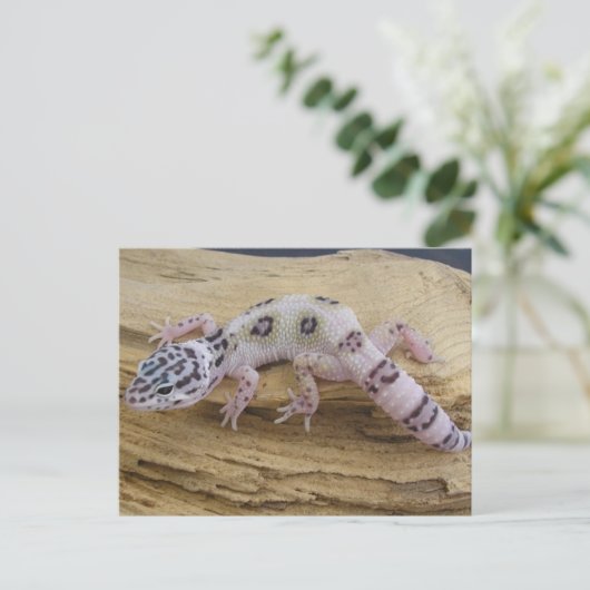 Leopard Gecko Briefkaart (Staand voorkant)